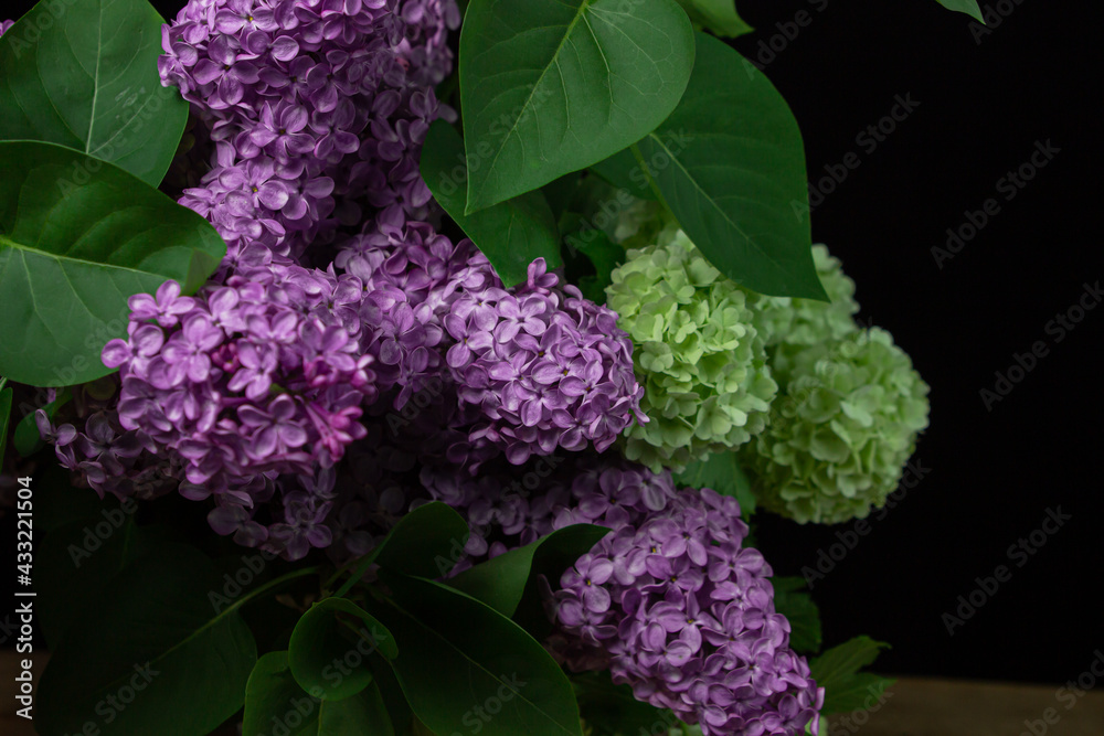 Lilacs on a black background. Spring flowers. Beautiful flowers on a dark background Lilacs on a black background. Spring flowers. Beautiful flowers on a dark background