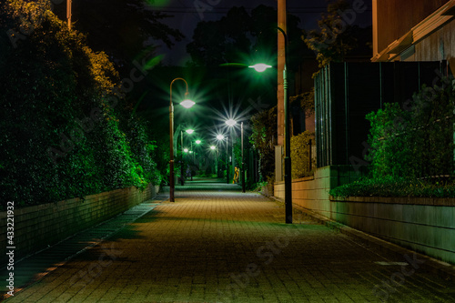 Fotografie 夜の遊歩道