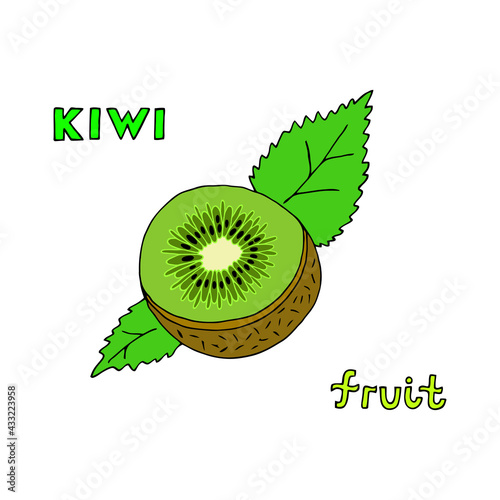 Bright vector illustration with kiwi fruit on a white background.