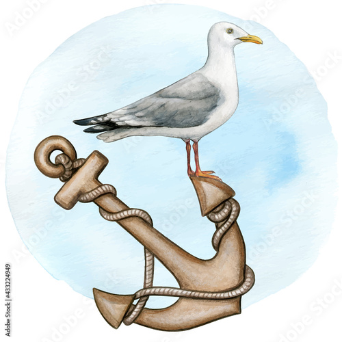 watercolor seagull on anchor and rope