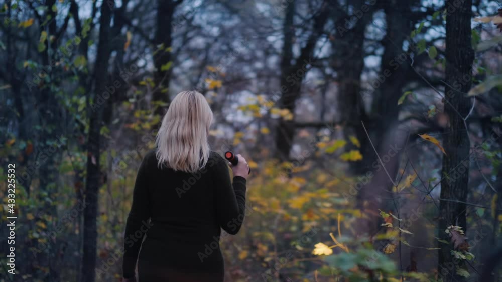 Rear view of Frightened woman walks through the woods at dusk, illuminates her way with a flashlight