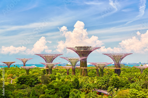 Canvas Print Singapore Supertrees Grove at the Gardens by the Bay