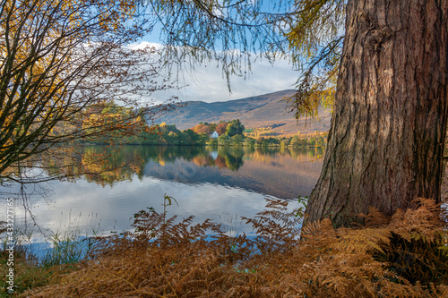 Loch Alvie, Aviemore, Scotland, United Kingdom photo