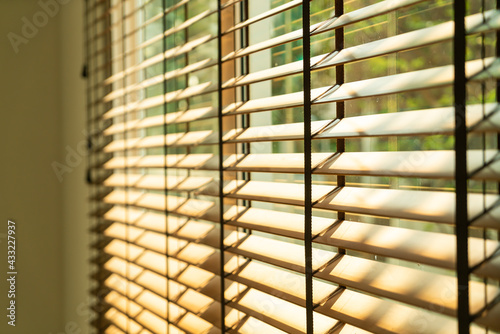 close-up bamboo blind  bamboo curtain  chick  Venetian blind or sun-blind