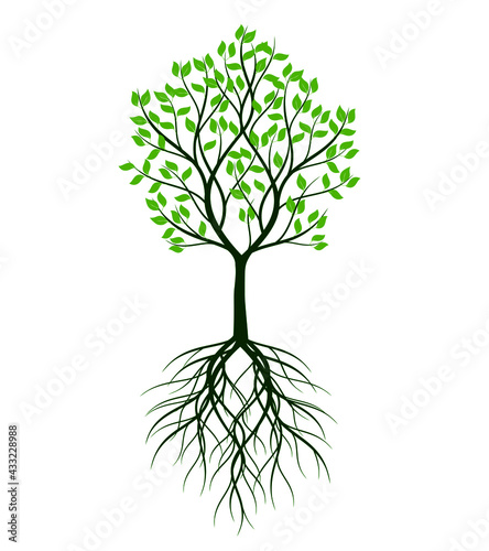 Green Tree. Vector outline image.