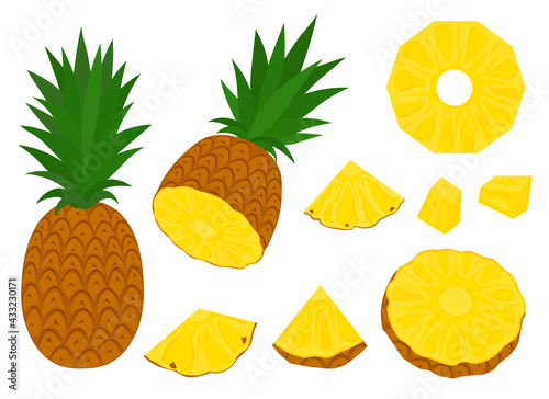 Pineapple vector illustration. Set summer fruits slices