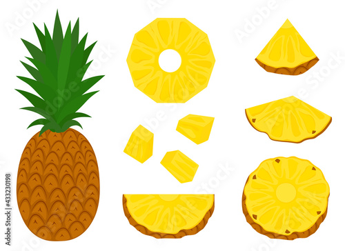 Pineapple vector illustration. Set summer fruits slices
