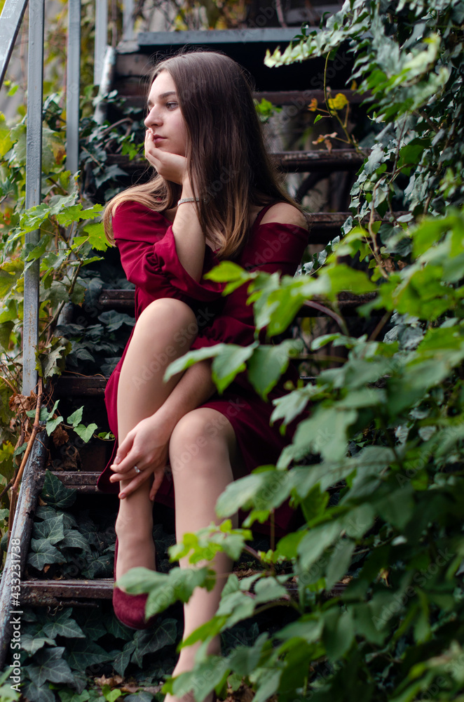beautiful girl in a red dress on the street in the city beautiful girl in a red dress on the street in the city