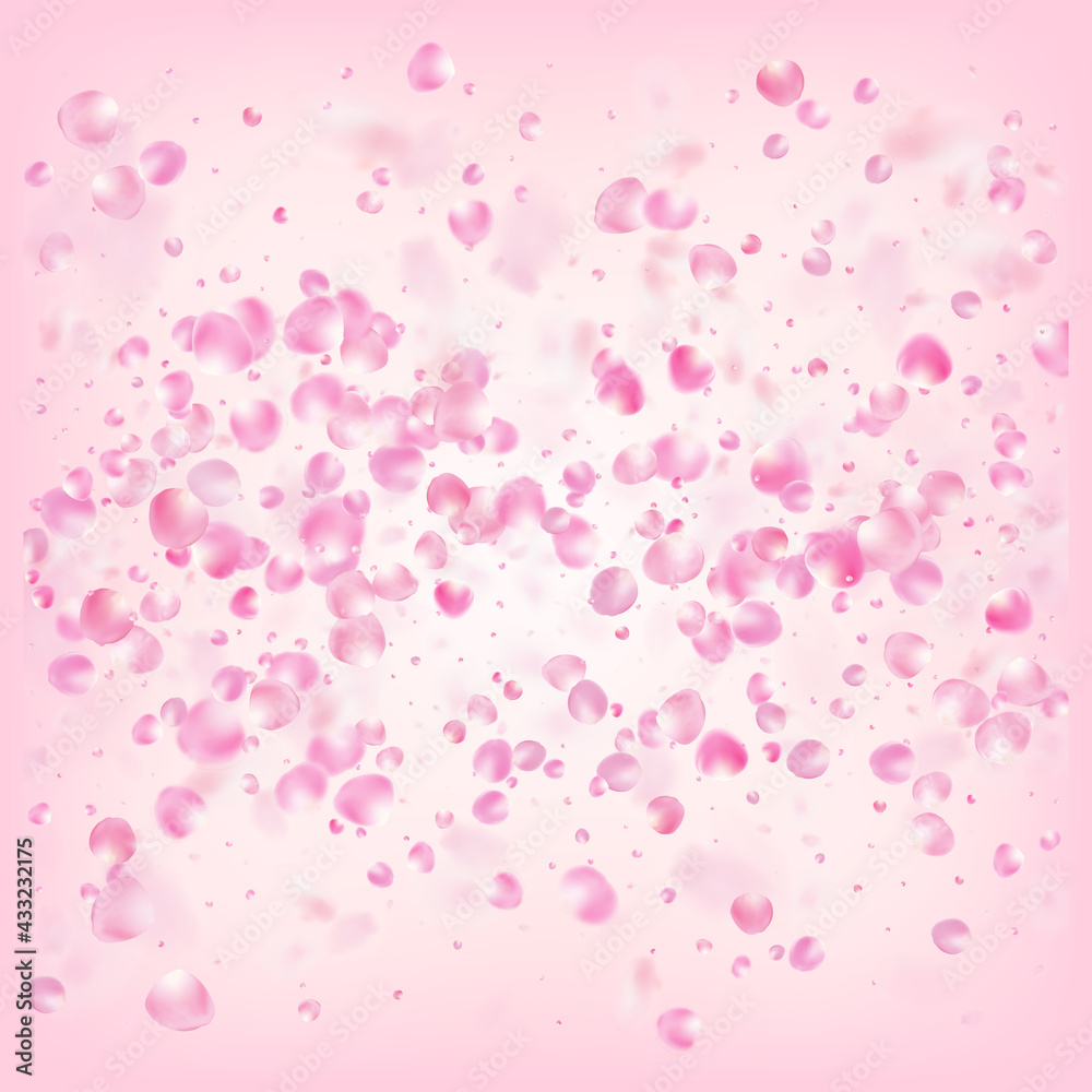 Rose Petals Flying Confetti. Female Premium Pastel Texture. Blooming
