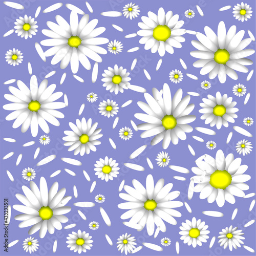 White daisies and petals on a blue background.