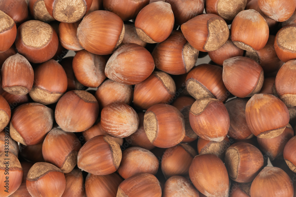 Unpeeled hazelnuts background texture. hazelnuts in shell
