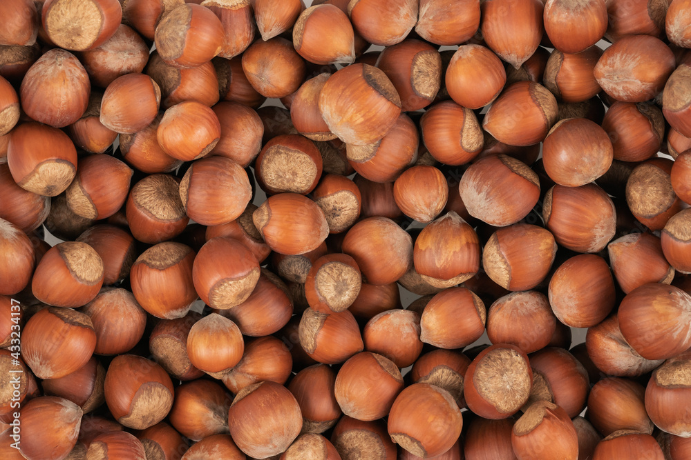Unpeeled hazelnuts background texture. hazelnuts in shell Unpeeled hazelnuts background texture. hazelnuts in shell