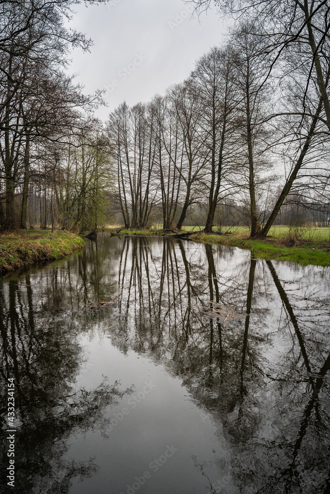 W oczekiwaniu na nadchodzącą wiosnę