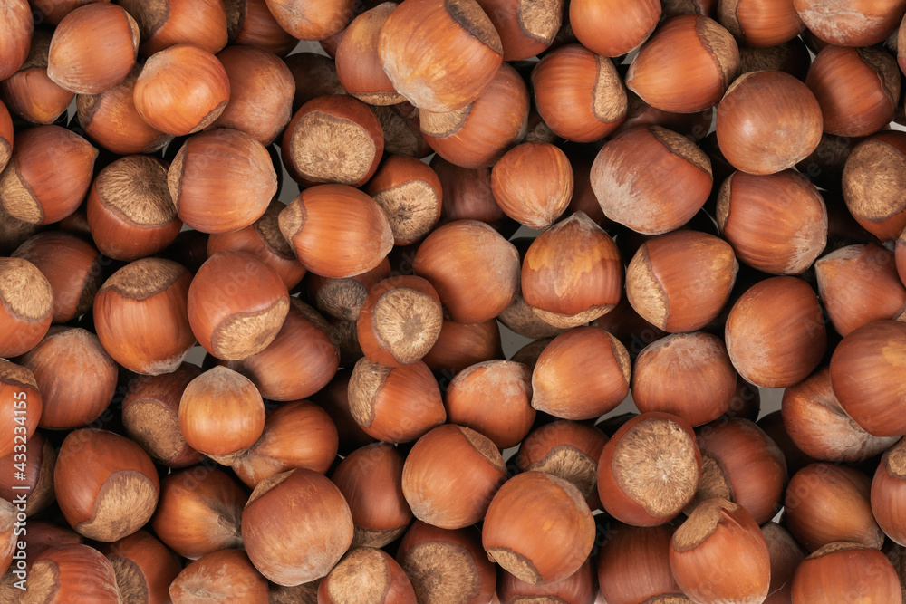 Unpeeled hazelnuts background texture. hazelnuts in shell Unpeeled hazelnuts background texture. hazelnuts in shell