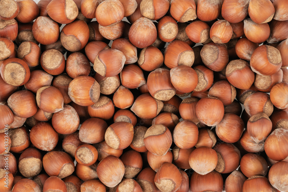 Unpeeled hazelnuts background texture. hazelnuts in shell Unpeeled hazelnuts background texture. hazelnuts in shell