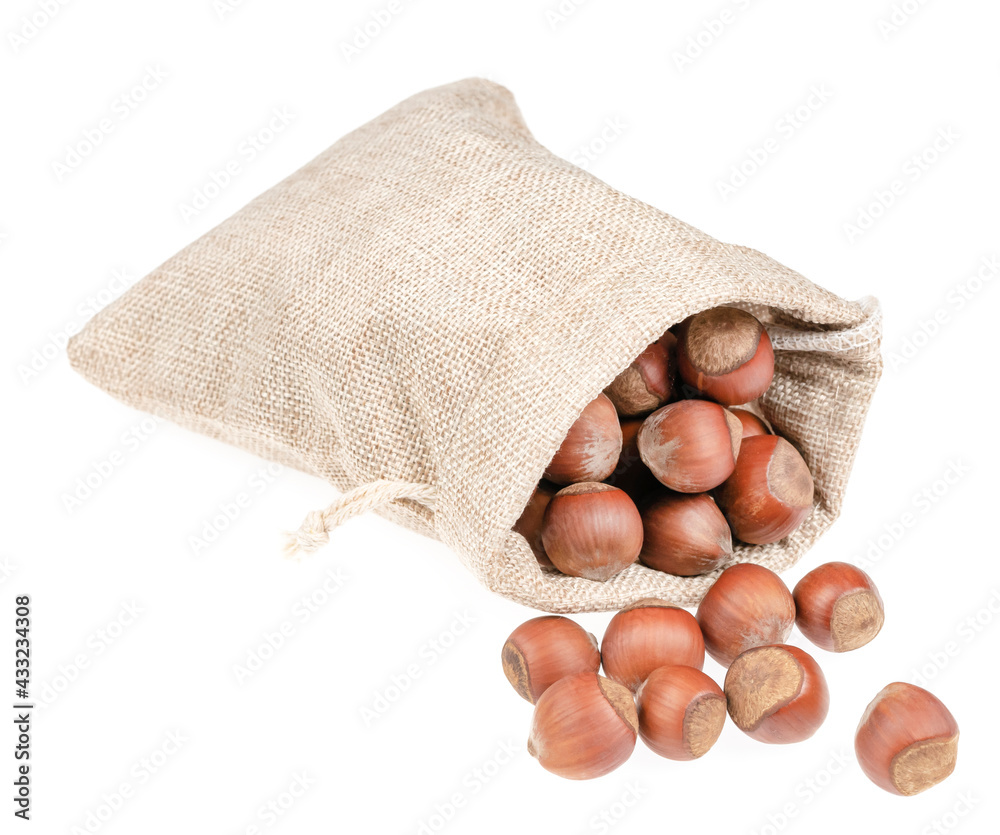 Unpeeled hazelnuts in a burlap bag on a white background. hazelnuts in shell Unpeeled hazelnuts in a burlap bag on a white background. hazelnuts in shell