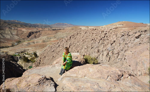 Chiean altiplano, Arica photo