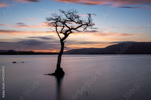 Sunset by the Lone Tree at Milarrochy Bay on the shores of Loch Lomond in Scotland