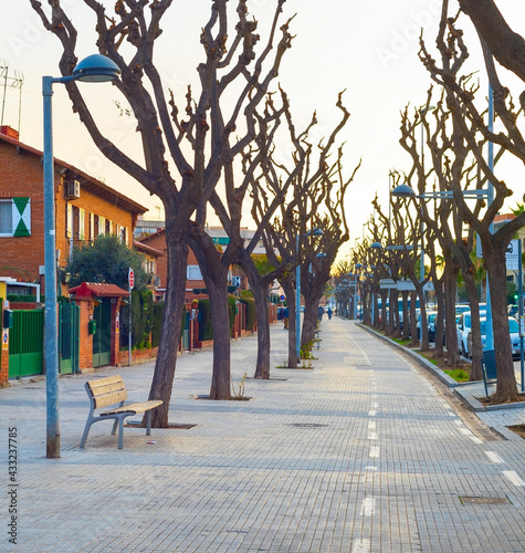 alley tree nobody Barcelona...