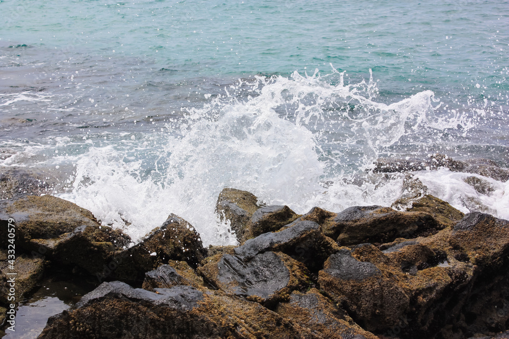 Fototapeta premium 水しぶき