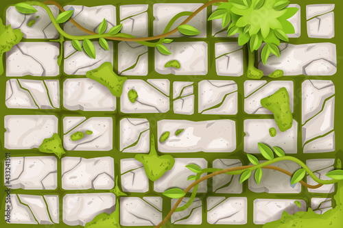 Stone wall vector cracked rock texture, old ancient tile background, moss, vine, green leaf. Brick brown road, granite floor surface, liana, pavement outdoor illustration. Abandoned castle stone wall