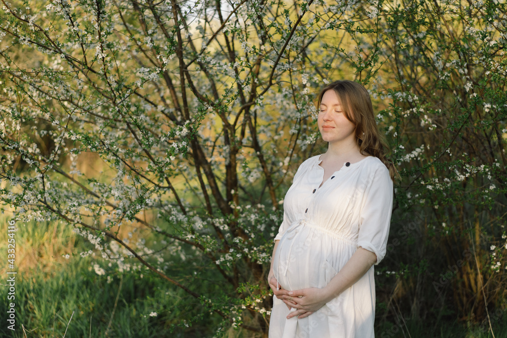 Spring portrait of a pregnant woman. A beautiful young pregnant woman in a white dress walks in the spring garden. Spring portrait of a pregnant woman. A beautiful young pregnant woman in a white dress walks in the spring garden.