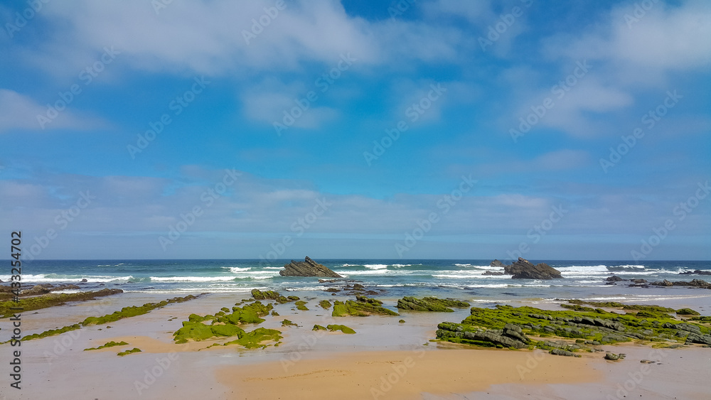 beach and ocean