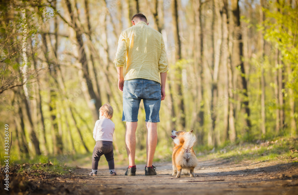 Fototapeta premium Father and a baby with a dog during a walk in a forest