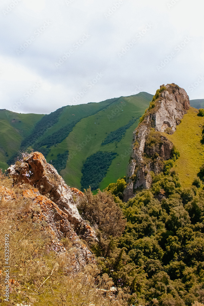 Obraz premium Green summer landscape with threes and rocks.