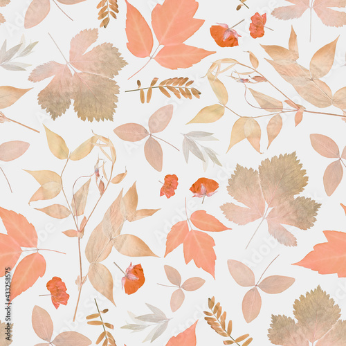 Floral seamless pattern in collage technique. Pressed dry plants on light grey background.