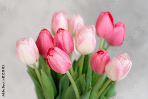 A bouquet of delicate pink tulips for the holiday. Mother's day, birthday, valentine's day. tender greeting card. soft selective focus.