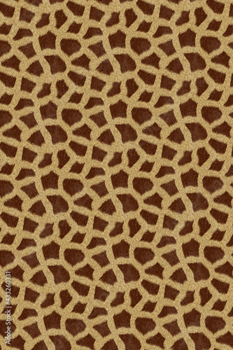 african animal fur skin pattern surface texture backdrop