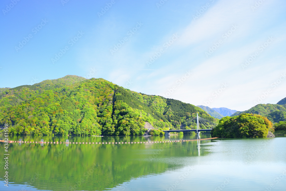 Fototapeta premium 丹沢湖 神奈川県山北町の風景