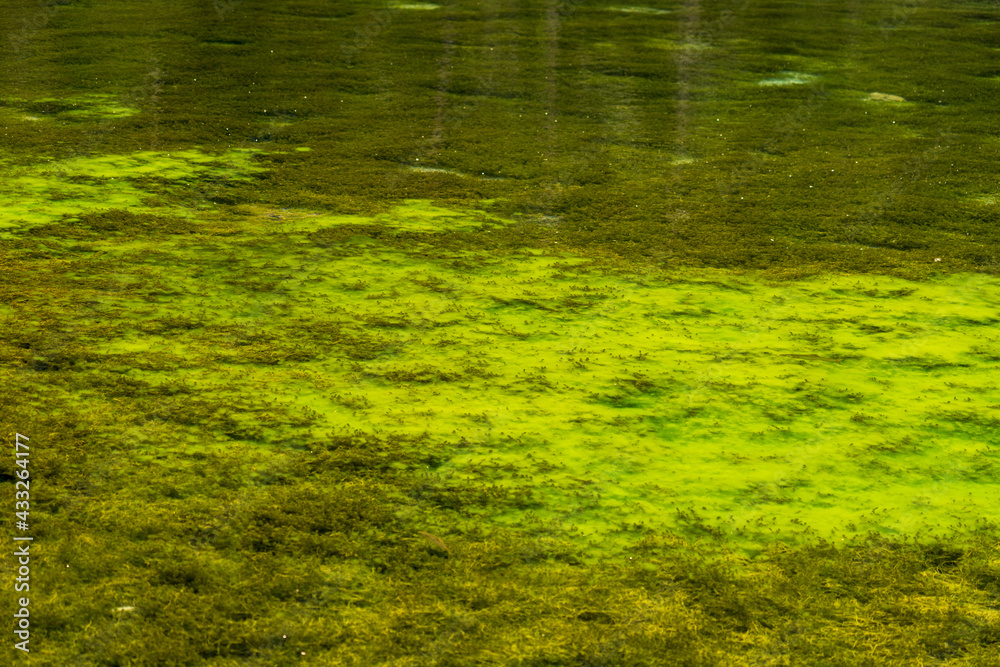 Grüner See Steiermark Grüner See Steiermark