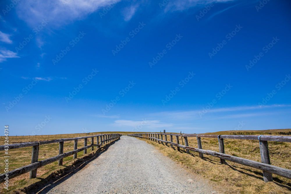 path to the sea