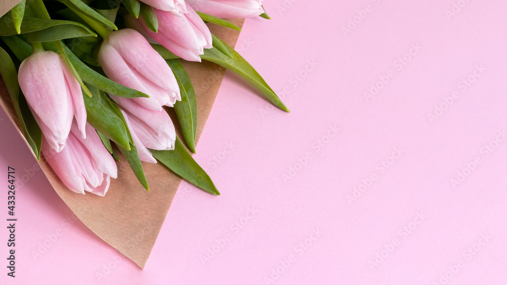 Beautiful delicate bouquet of tulip flowers in craft wrapping paper on pink background. Wide banner with copy space