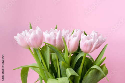 Beautiful delicate bouquet of tulip flowers on pink background © MariiaDemchenko