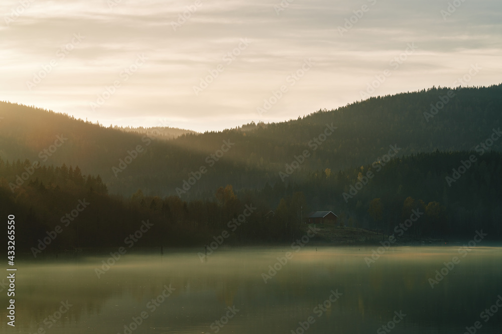 Springtime at the lake. Fog, mist and sun rays.