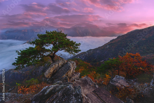 Canvas Print Waraksan Mountain National Park, covered with fog, morning in Waraksan National Park is also autumn