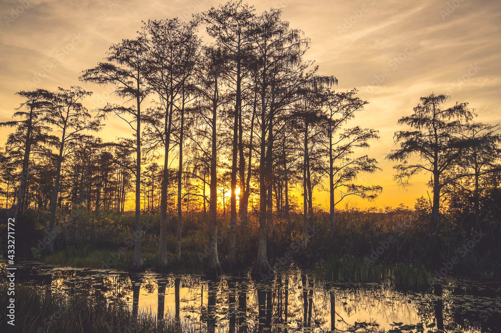 orange hazy fog swamp sunset. orange hazy fog swamp sunset.