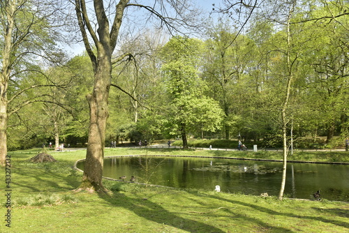 L'étang principal et ses berges courbées sous le feuillage des arbres au parc Josaphat à Schaerbeek 