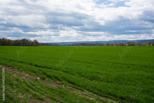 Green Fields