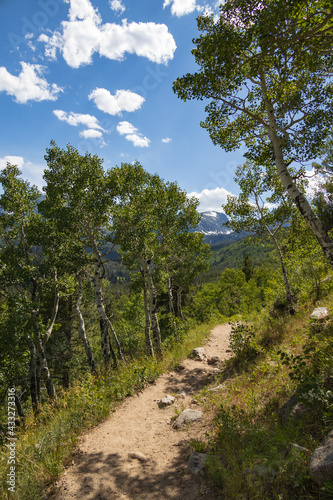 Bierstadt Lake Trail with blue sky and mountains in background in Rocky Mountain National Park, Colorado 