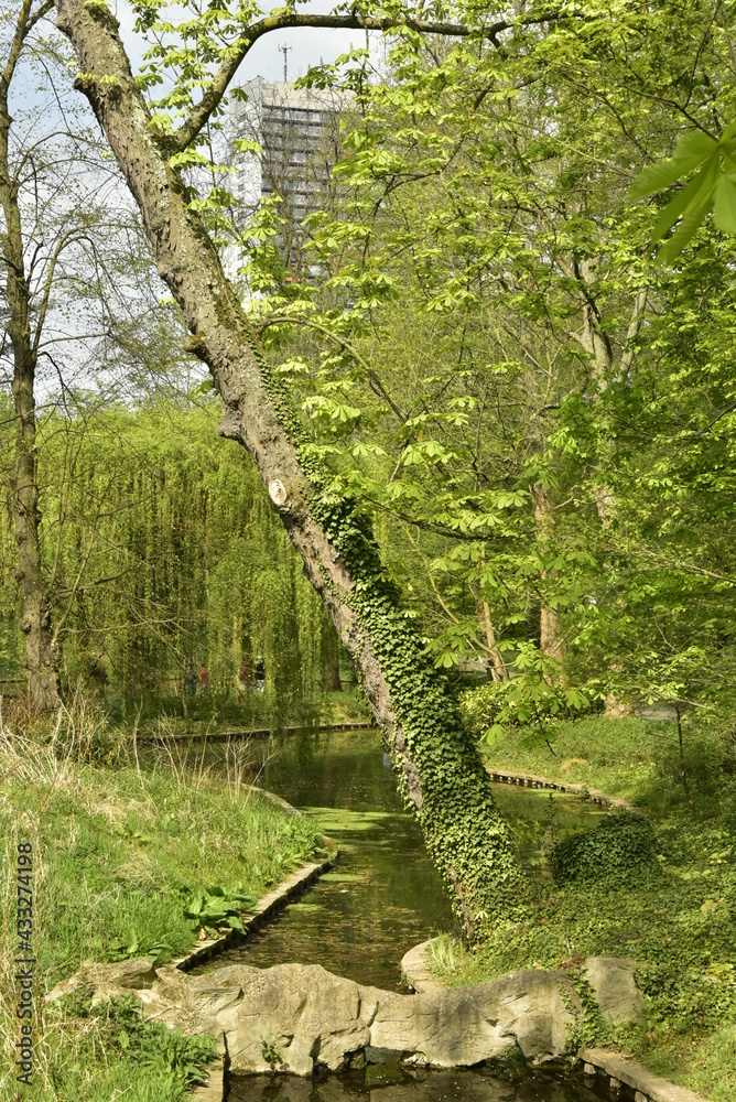 Obraz premium Bras d'étang sous la végétation luxuriante du printemps au parc Josaphat à Schaerbeek