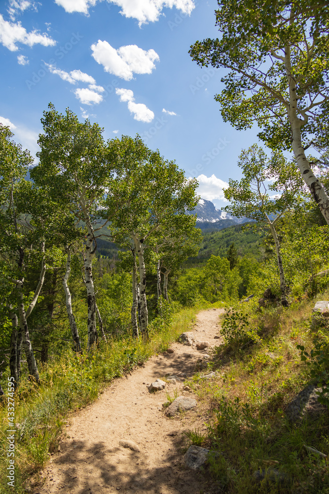 Bierstadt Lake Trail with blue sky and mountains in background in Rocky Mountain National Park, Colorado
Bierstadt Lake Trail with blue sky and mountains in background in Rocky Mountain National Park, Colorado