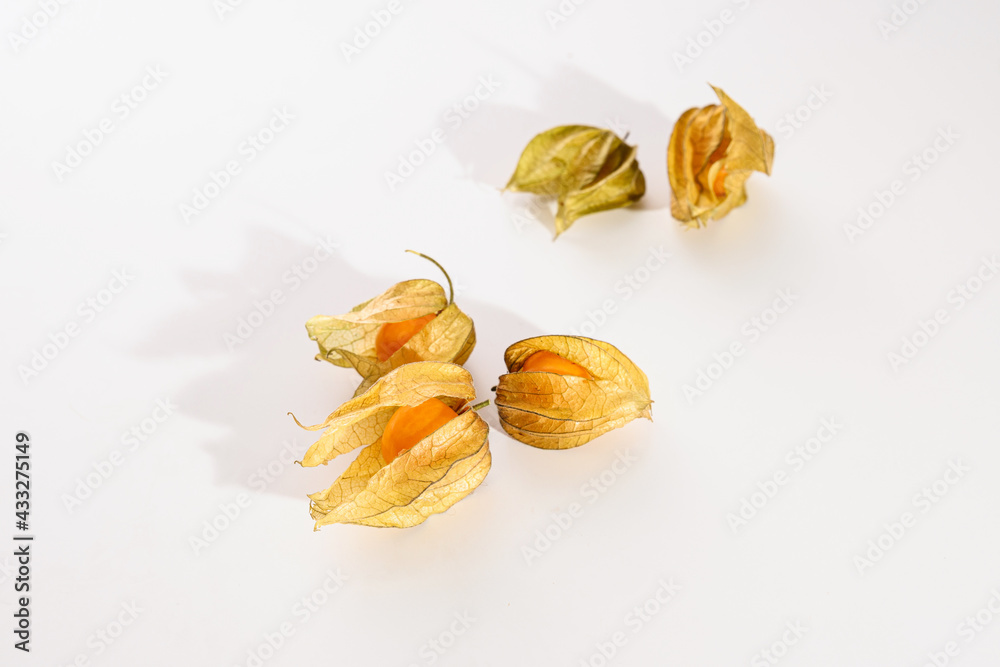physalis berries scattered on white background, top view, empty space for text