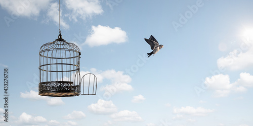 Valokuva Bird flying to freedom