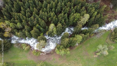 Fototapeta Naklejka Na Ścianę i Meble -  fiume bosco foresta natura relax montagna verde alberi 