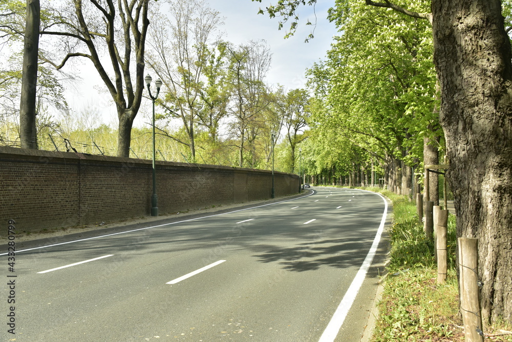 Fototapeta premium L'avenue Van Praet longeant le mur d'enceinte du Domaine Royal à Laeken