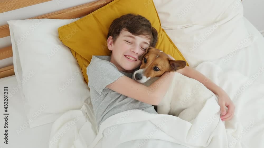 Happy boy hugs dog Jack Russell Terrier smiling in love is lying in bed on white blanket morning. Child dog plays emotionally. Childhood. Pets. Care attention love for pets. Top view. Family concept Happy boy hugs dog Jack Russell Terrier smiling in love is lying in bed on white blanket morning. Child dog plays emotionally. Childhood. Pets. Care attention love for pets. Top view. Family concept